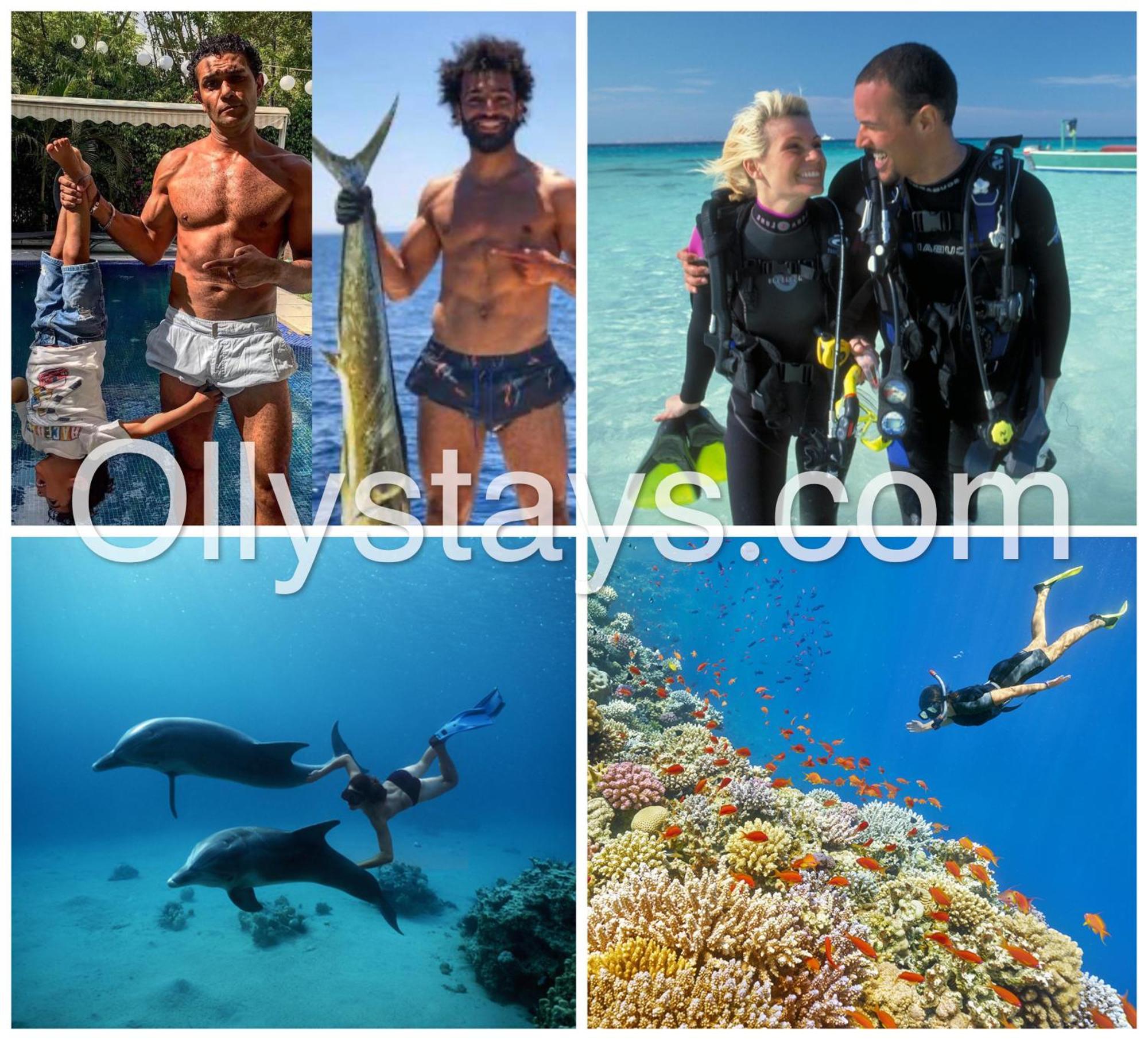 Ollystays Mangroovy Seaview 1Br Beach And Pool Free Access Hurghada Exterior foto