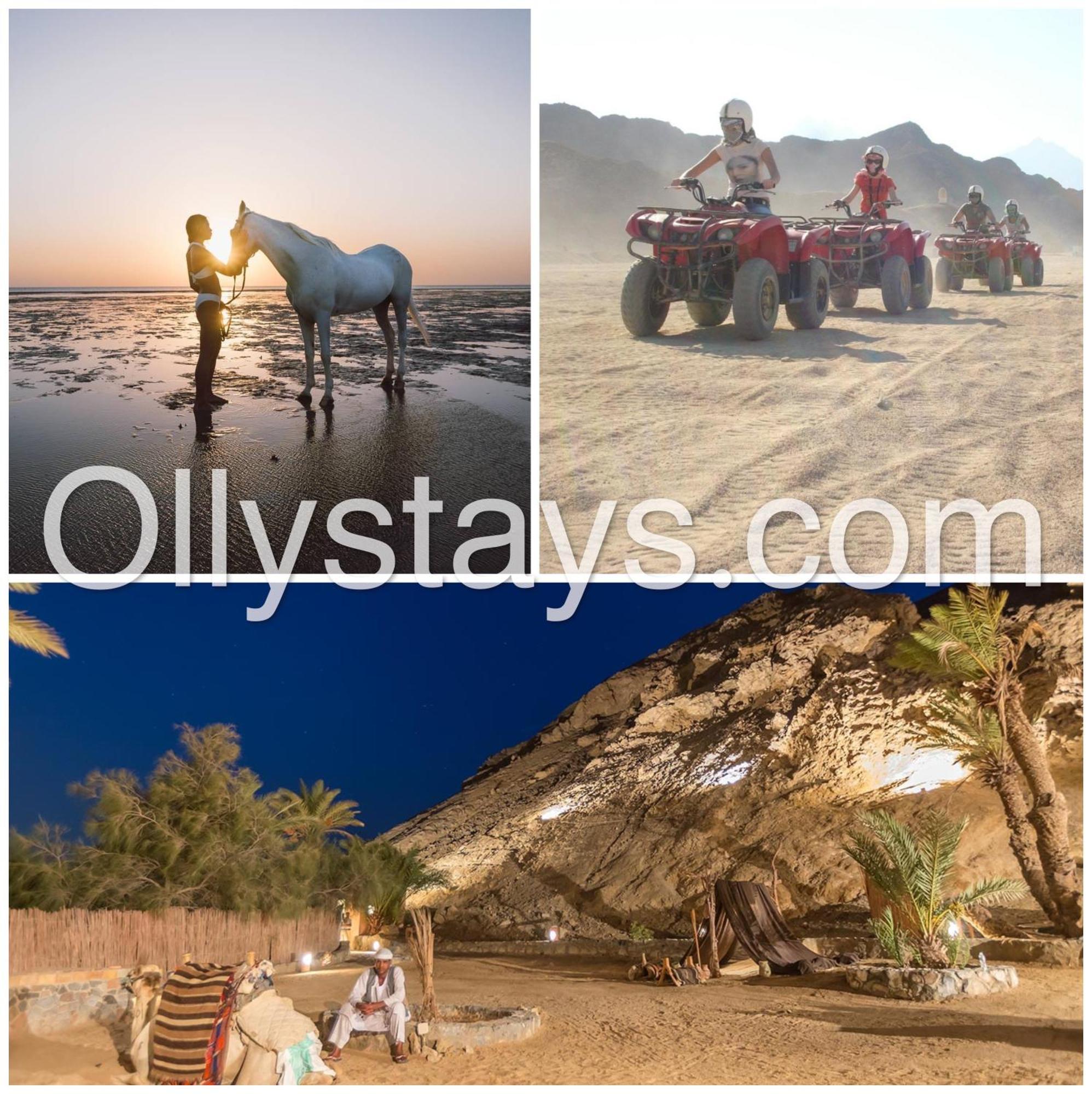 Ollystays Mangroovy Seaview 1Br Beach And Pool Free Access Hurghada Exterior foto